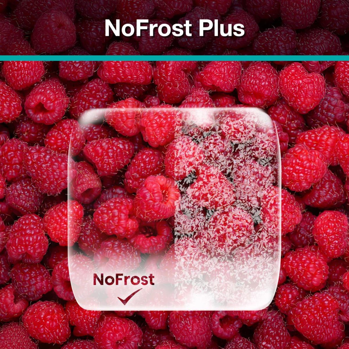 GORENJE Samostojeći kombinirani hladnjak/zamrzivač, 200 cm, NRK720EAXL4 - Slika 8